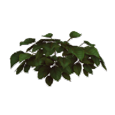 decor_4456_thumbnail