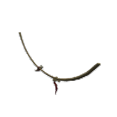 decor_12459_thumbnail