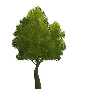 decor_4475_thumbnail