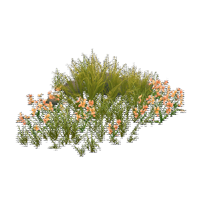 decor_17872_thumbnail