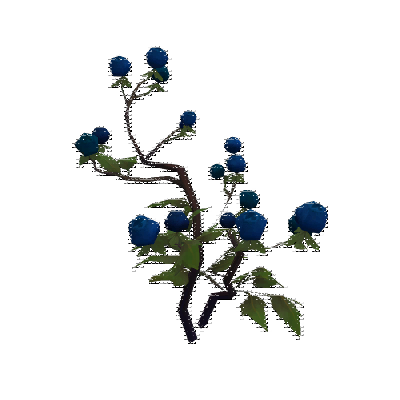 decor_4455_thumbnail