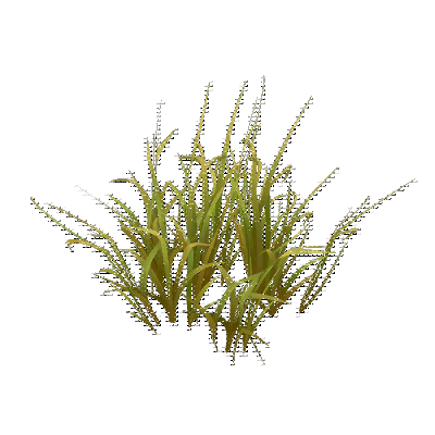 decor_14812_thumbnail