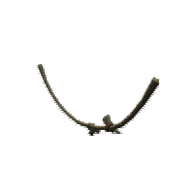 decor_12456_thumbnail