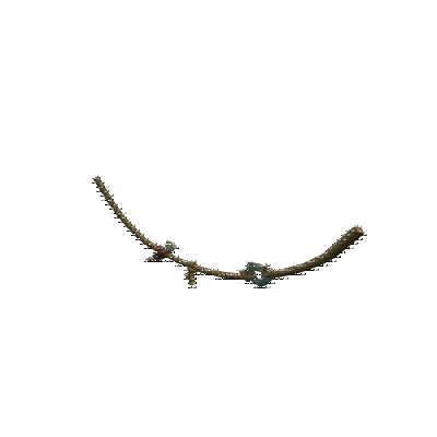 decor_12149_thumbnail