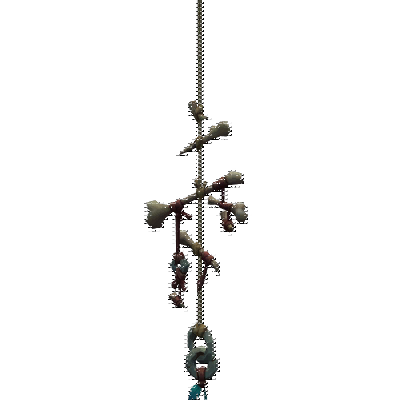 decor_12287_thumbnail