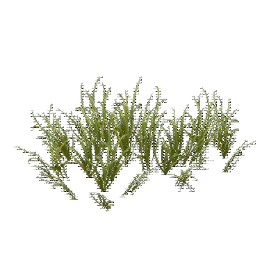 decor_4823_thumbnail