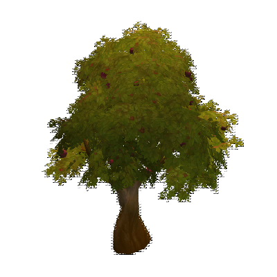 decor_12190_thumbnail