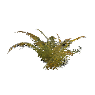 decor_20668_thumbnail