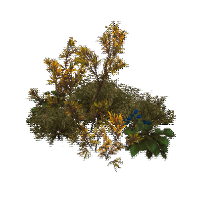 decor_17867_thumbnail