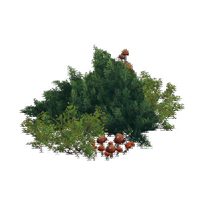 decor_17869_thumbnail