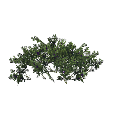 decor_4466_thumbnail