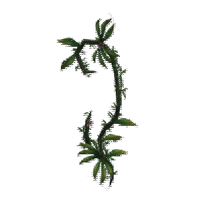 decor_9249_thumbnail