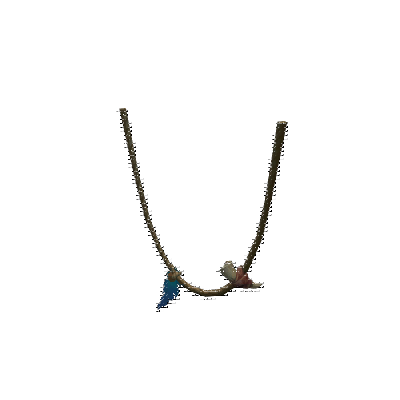 decor_12151_thumbnail