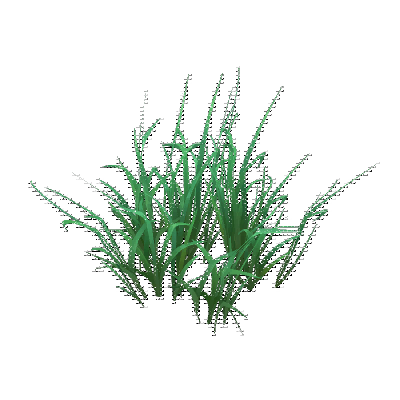 decor_14810_thumbnail