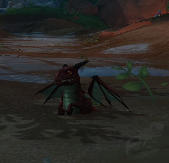 1078034 Ruby Whelp Shell