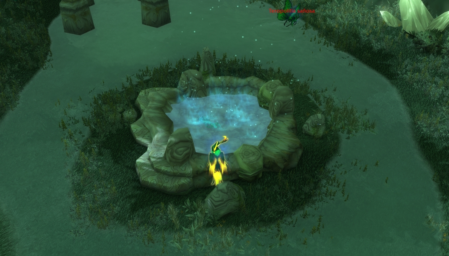 Ab0079350fce068234ca969db85a6a9f