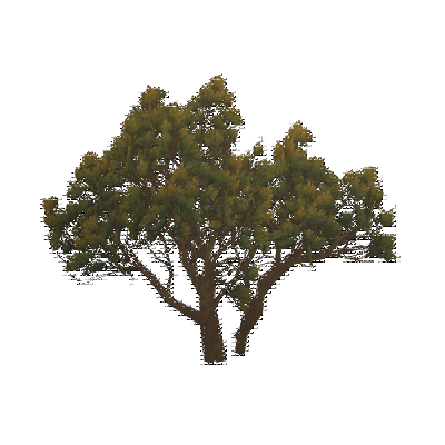 decor_4462_thumbnail