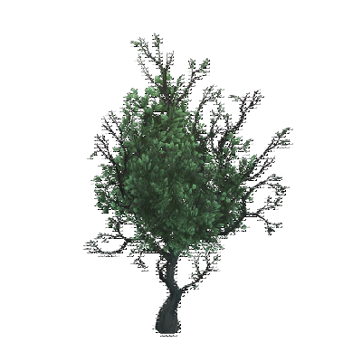 decor_4469_thumbnail