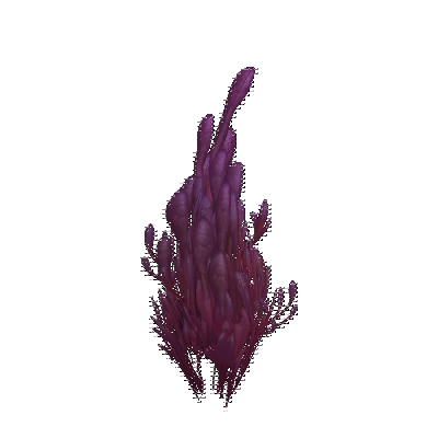 decor_15754_thumbnail