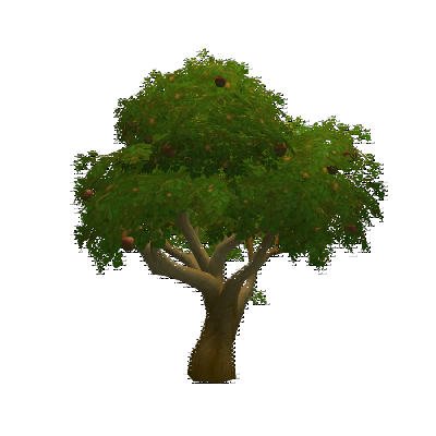 decor_10855_thumbnail