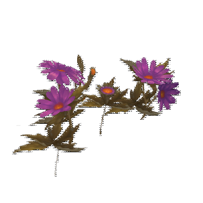 decor_4463_thumbnail