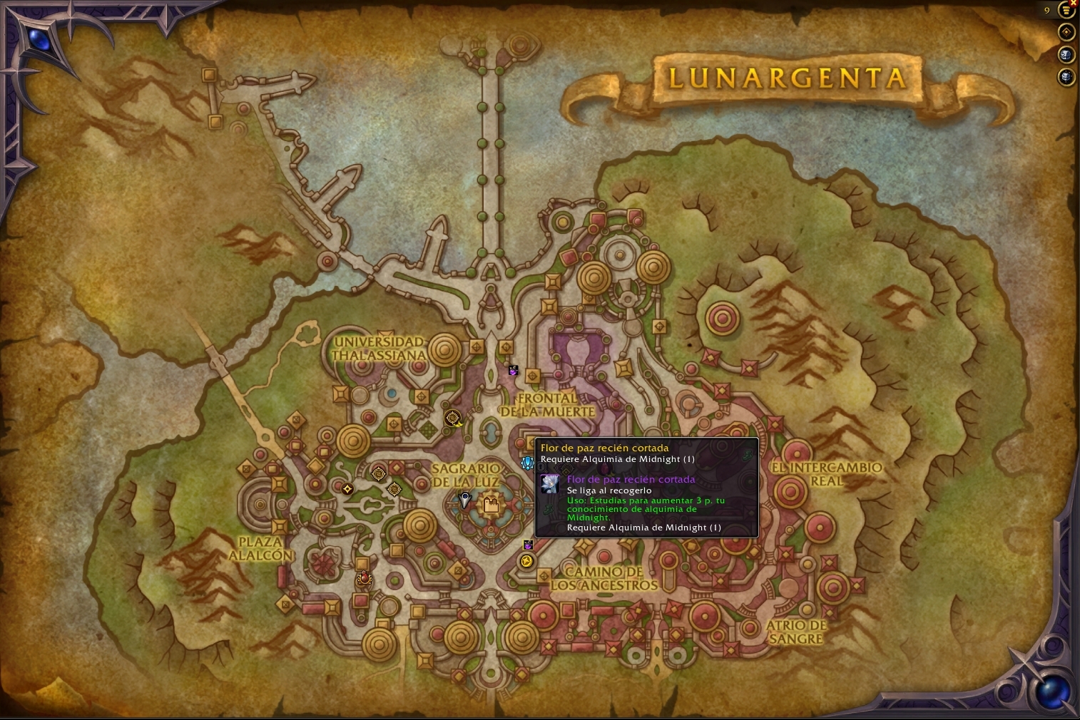 D2501afdf254e012bf3330169135e29a