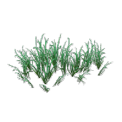 decor_14811_thumbnail