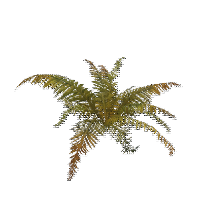 decor_20666_thumbnail