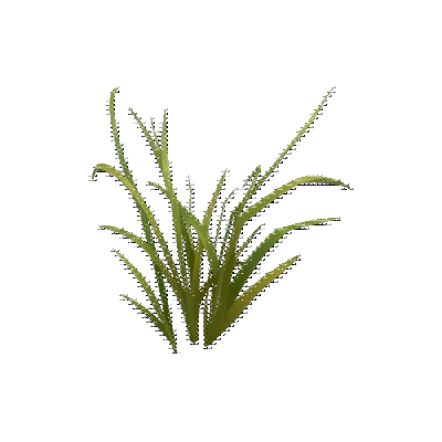 decor_4845_thumbnail